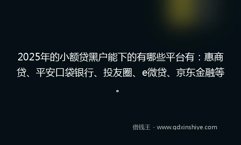 2025年的小额贷黑户能下的有哪些平台有：惠商贷、平安口袋银行、投友圈、e微贷、京东金融等。