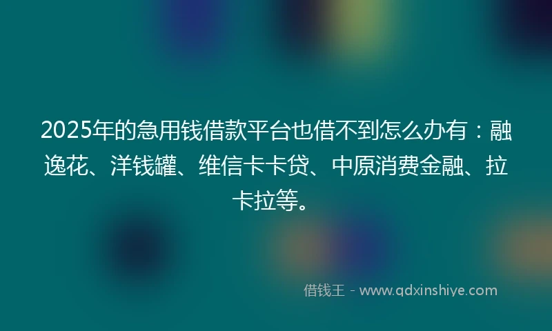 2025年的急用钱借款平台也借不到怎么办有：融逸花、洋钱罐、维信卡卡贷、中原消费金融、拉卡拉等。