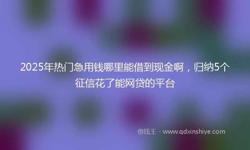 2025年热门急用钱哪里能借到现金啊，归纳5个征信花了能网贷的平台