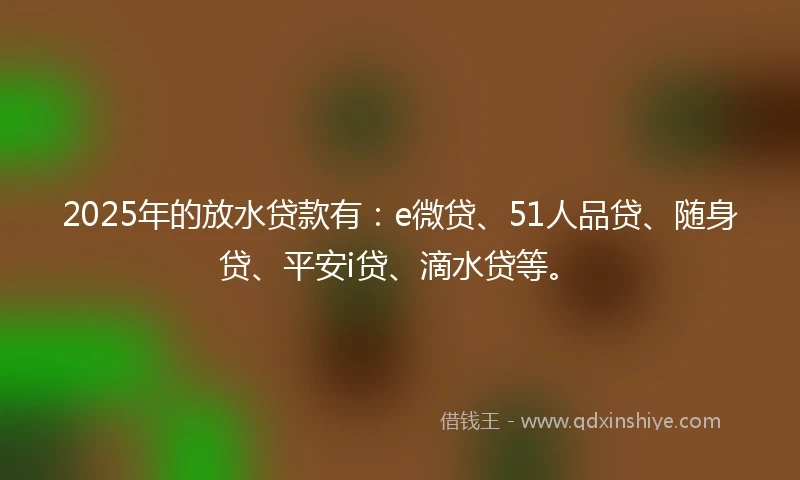 2025年的放水贷款有：e微贷、51人品贷、随身贷、平安i贷、滴水贷等。