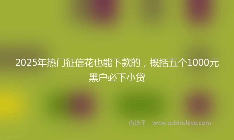 2025年热门征信花也能下款的，概括五个1000元黑户必下小贷
