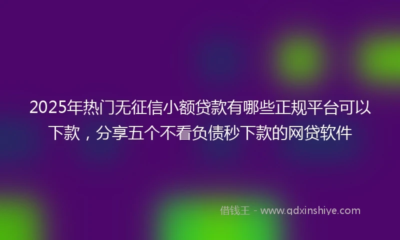 2025年热门无征信小额贷款有哪些正规平台可以下款，分享五个不看负债秒下款的网贷软件