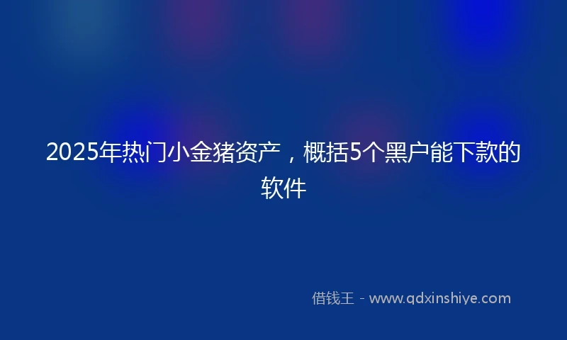 2025年热门小金猪资产，概括5个黑户能下款的软件