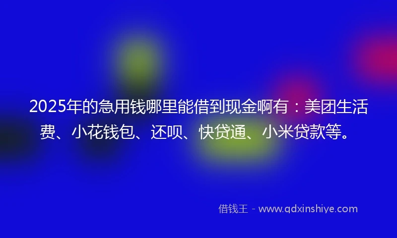 2025年的急用钱哪里能借到现金啊有：美团生活费、小花钱包、还呗、快贷通、小米贷款等。