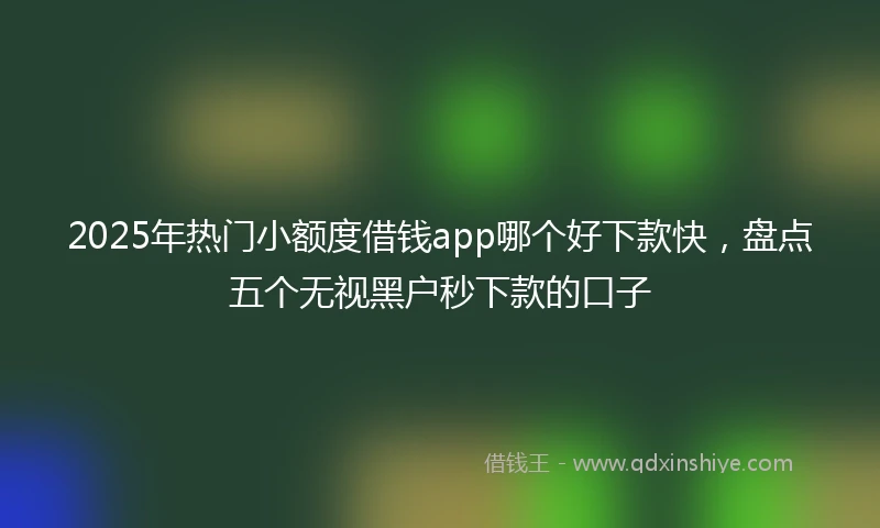 2025年热门小额度借钱app哪个好下款快，盘点五个无视黑户秒下款的口子