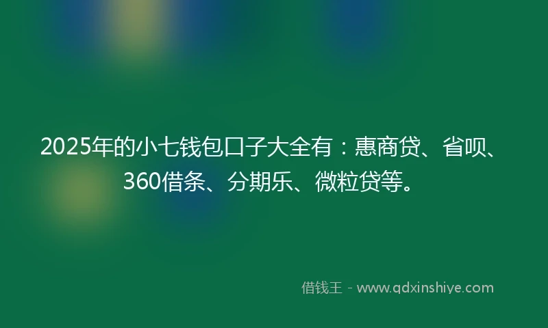 2025年的小七钱包口子大全有：惠商贷、省呗、360借条、分期乐、微粒贷等。