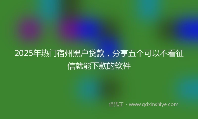 2025年热门宿州黑户贷款，分享五个可以不看征信就能下款的软件