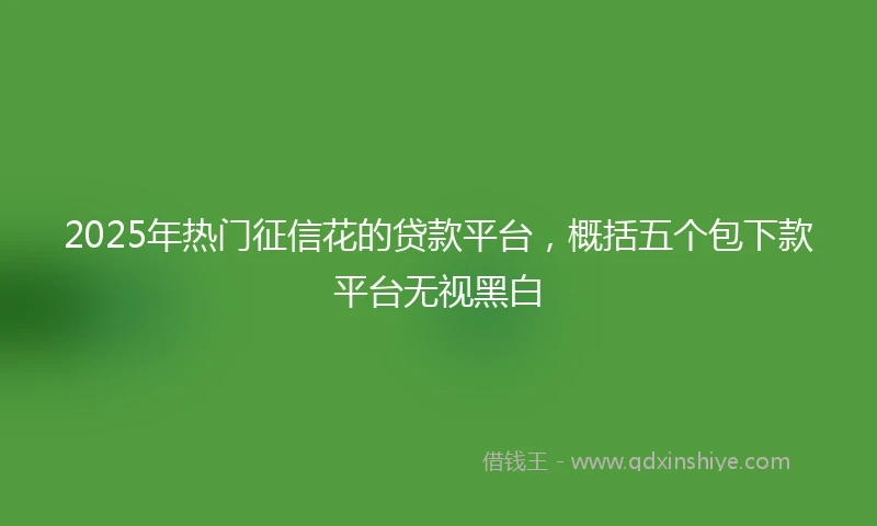 2025年热门征信花的贷款平台，概括五个包下款平台无视黑白