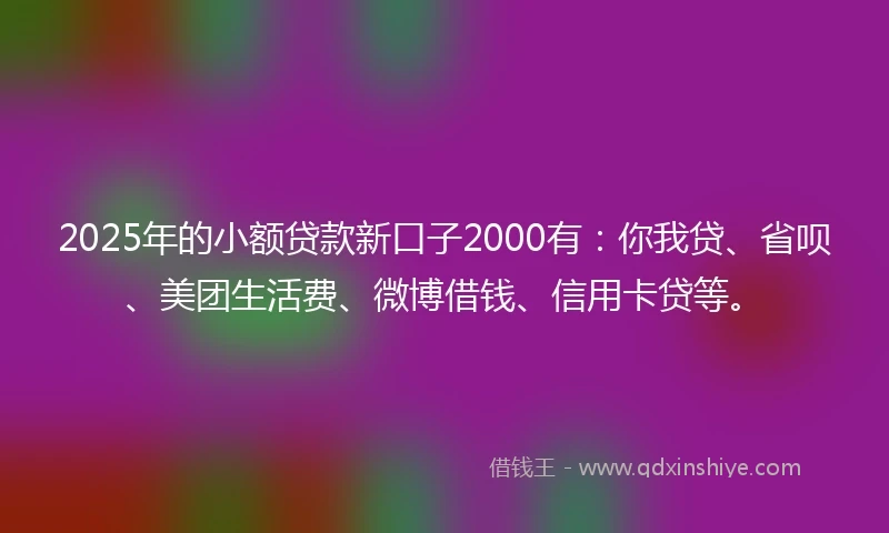 2025年的小额贷款新口子2000有：你我贷、省呗、美团生活费、微博借钱、信用卡贷等。