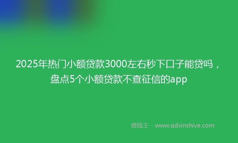 2025年热门小额贷款3000左右秒下口子能贷吗，盘点5个小额贷款不查征信的app