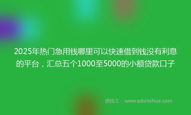 2025年热门急用钱哪里可以快速借到钱没有利息的平台，汇总五个1000至5000的小额贷款口子