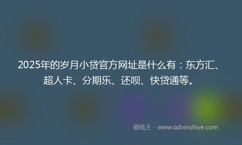 2025年的岁月小贷官方网址是什么有：东方汇、超人卡、分期乐、还呗、快贷通等。