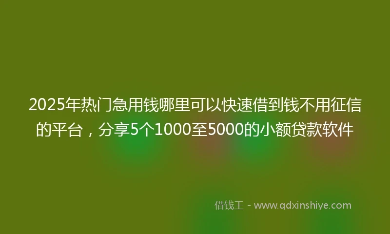 2025年热门急用钱哪里可以快速借到钱不用征信的平台，分享5个1000至5000的小额贷款软件