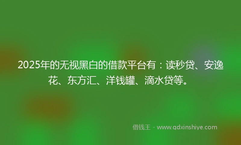 2025年的无视黑白的借款平台有：读秒贷、安逸花、东方汇、洋钱罐、滴水贷等。