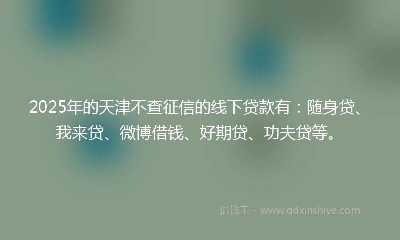 2025年的天津不查征信的线下贷款有：随身贷、我来贷、微博借钱、好期贷、功夫贷等。