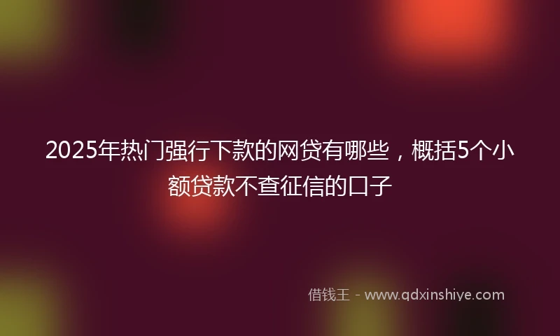 2025年热门强行下款的网贷有哪些，概括5个小额贷款不查征信的口子