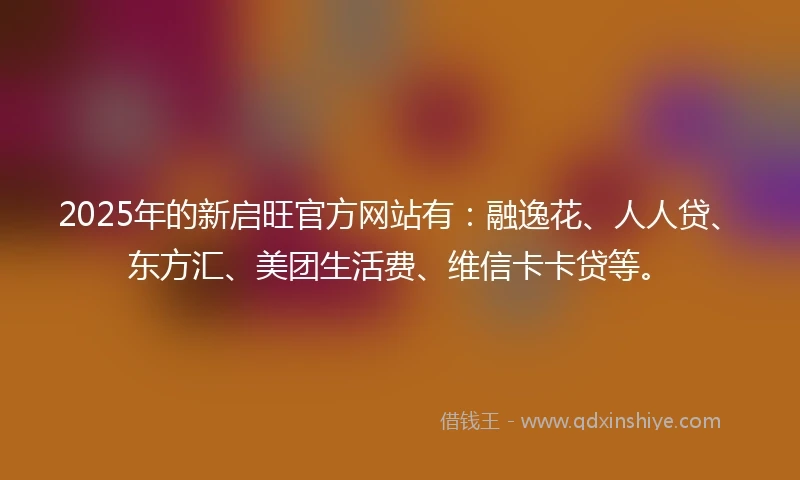 2025年的新启旺官方网站有：融逸花、人人贷、东方汇、美团生活费、维信卡卡贷等。