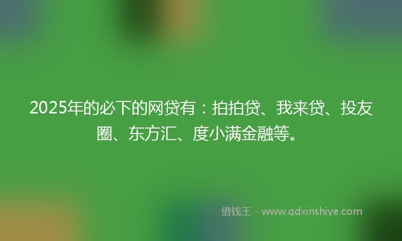 2025年的必下的网贷有：拍拍贷、我来贷、投友圈、东方汇、度小满金融等。