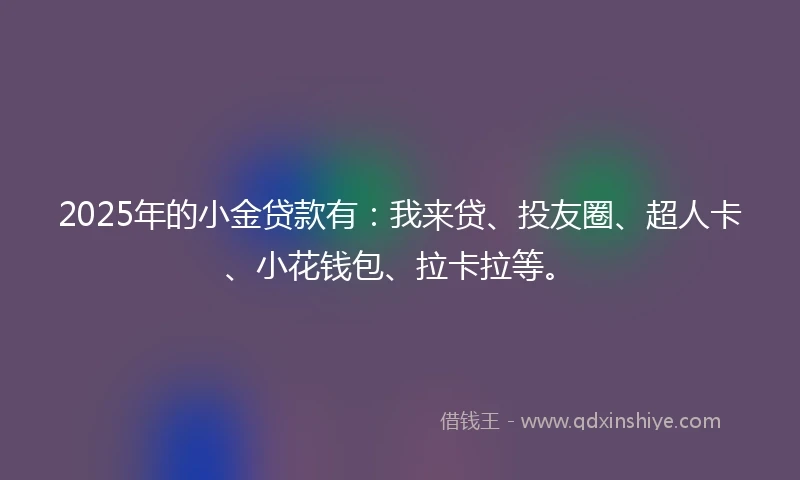 2025年的小金贷款有：我来贷、投友圈、超人卡、小花钱包、拉卡拉等。