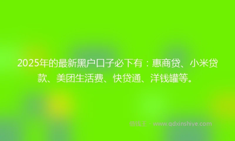 2025年的最新黑户口子必下有：惠商贷、小米贷款、美团生活费、快贷通、洋钱罐等。