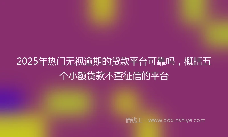 2025年热门无视逾期的贷款平台可靠吗，概括五个小额贷款不查征信的平台