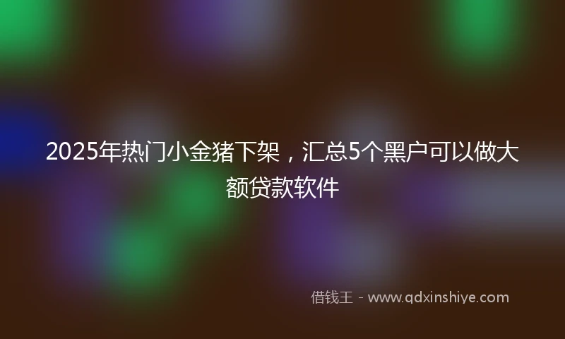 2025年热门小金猪下架，汇总5个黑户可以做大额贷款软件