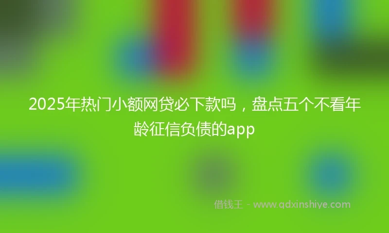 2025年热门小额网贷必下款吗，盘点五个不看年龄征信负债的app