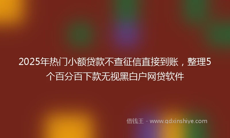 2025年热门小额贷款不查征信直接到账，整理5个百分百下款无视黑白户网贷软件