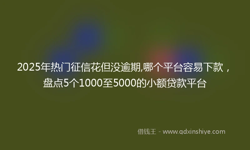 2025年热门征信花但没逾期,哪个平台容易下款，盘点5个1000至5000的小额贷款平台