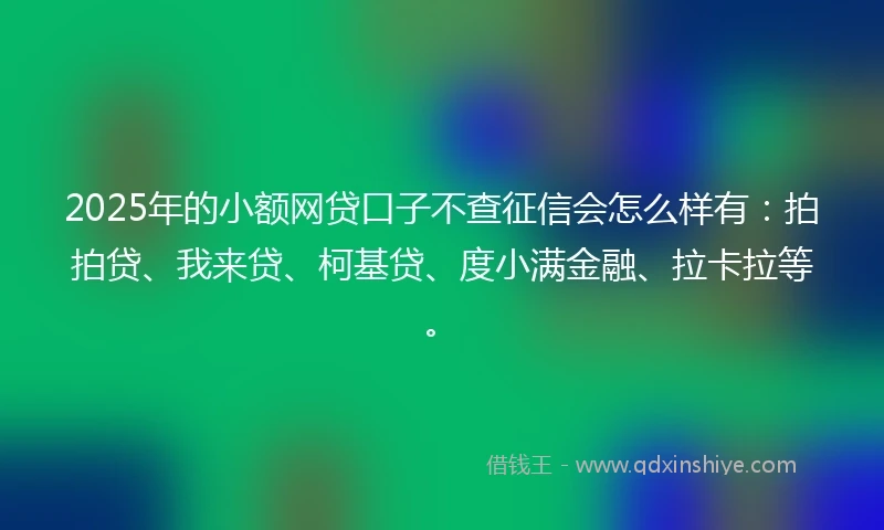 2025年的小额网贷口子不查征信会怎么样有：拍拍贷、我来贷、柯基贷、度小满金融、拉卡拉等。