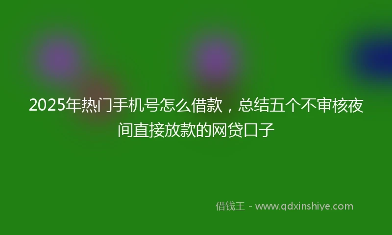 2025年热门手机号怎么借款，总结五个不审核夜间直接放款的网贷口子