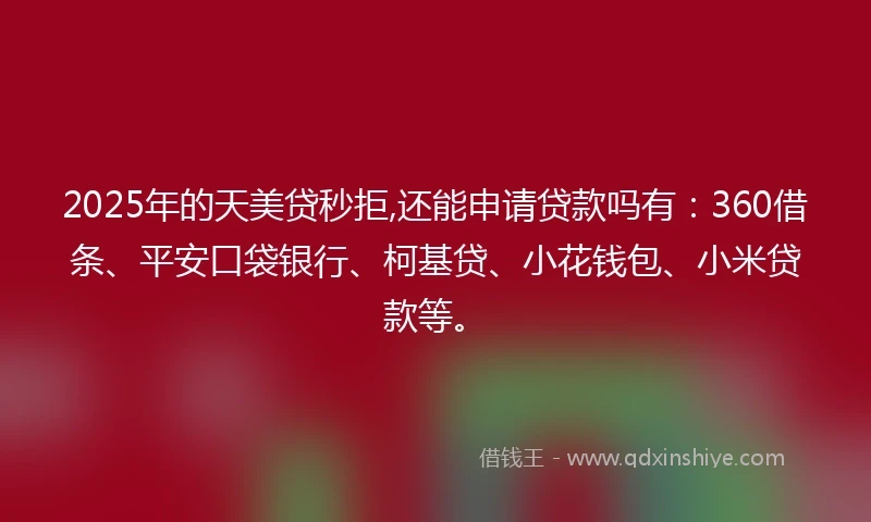 2025年的天美贷秒拒,还能申请贷款吗有：360借条、平安口袋银行、柯基贷、小花钱包、小米贷款等。