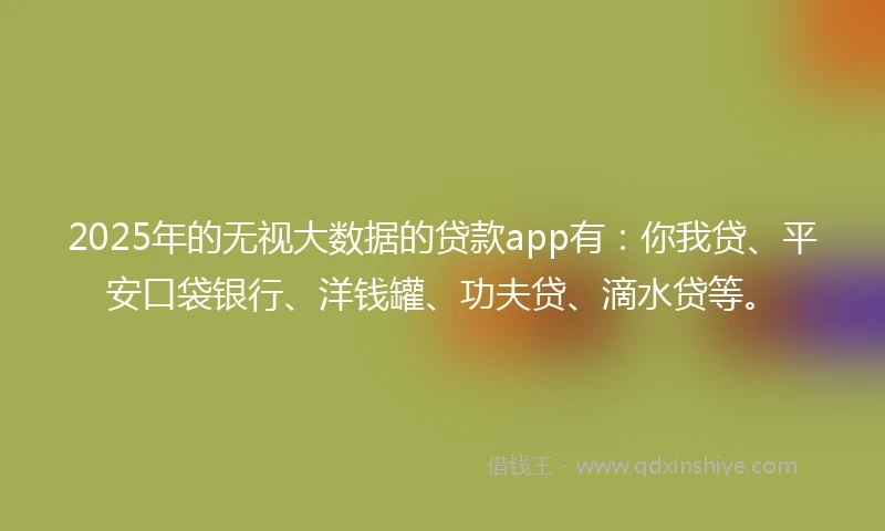 2025年的无视大数据的贷款app有：你我贷、平安口袋银行、洋钱罐、功夫贷、滴水贷等。
