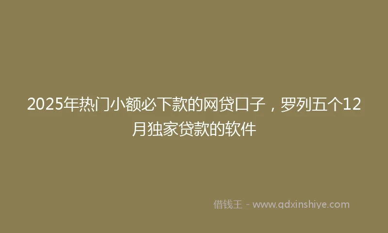 2025年热门小额必下款的网贷口子，罗列五个12月独家贷款的软件