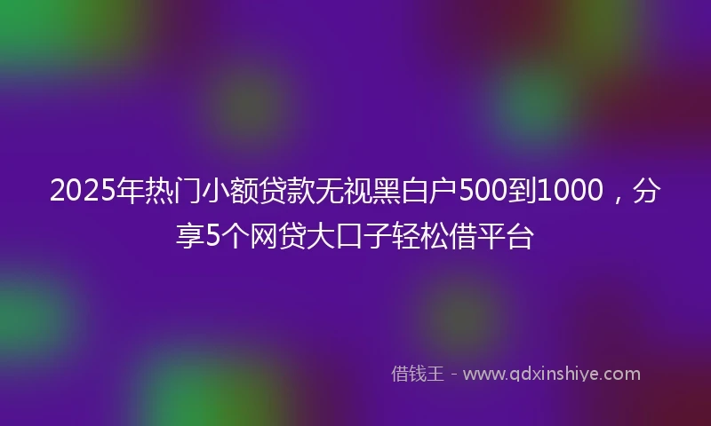 2025年热门小额贷款无视黑白户500到1000，分享5个网贷大口子轻松借平台
