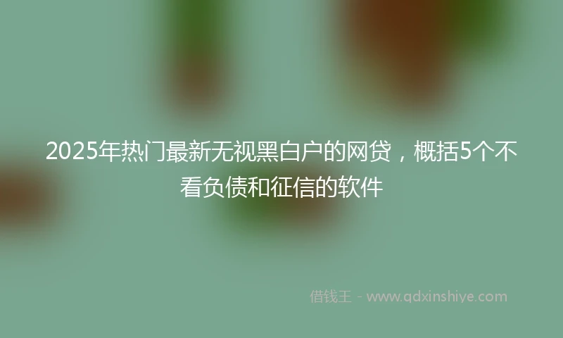 2025年热门最新无视黑白户的网贷，概括5个不看负债和征信的软件