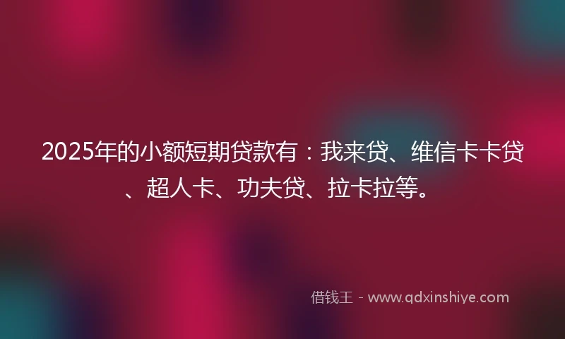 2025年的小额短期贷款有：我来贷、维信卡卡贷、超人卡、功夫贷、拉卡拉等。
