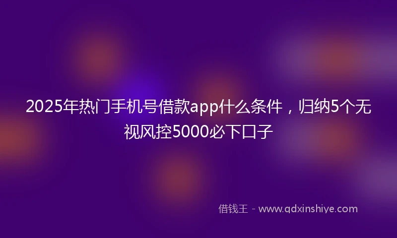 2025年热门手机号借款app什么条件，归纳5个无视风控5000必下口子