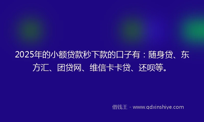 2025年的小额贷款秒下款的口子有：随身贷、东方汇、团贷网、维信卡卡贷、还呗等。