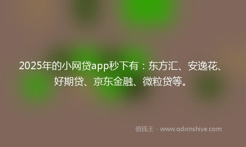 2025年的小网贷app秒下有：东方汇、安逸花、好期贷、京东金融、微粒贷等。