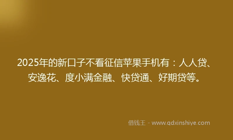 2025年的新口子不看征信苹果手机有：人人贷、安逸花、度小满金融、快贷通、好期贷等。