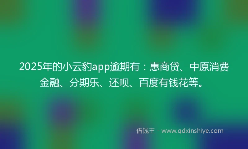 2025年的小云豹app逾期有：惠商贷、中原消费金融、分期乐、还呗、百度有钱花等。