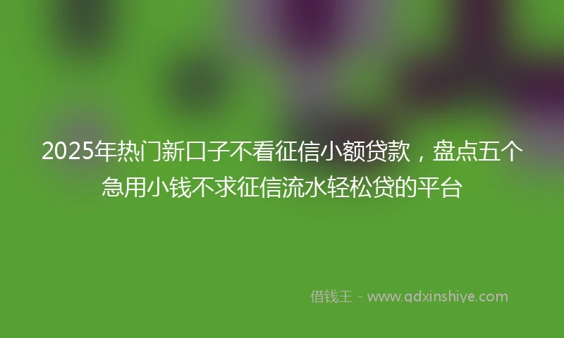 2025年热门新口子不看征信小额贷款，盘点五个急用小钱不求征信流水轻松贷的平台