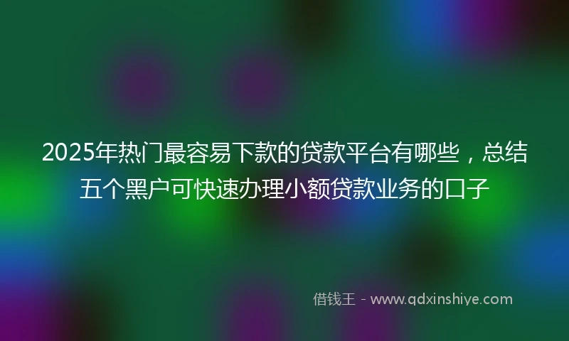 2025年热门最容易下款的贷款平台有哪些，总结五个黑户可快速办理小额贷款业务的口子