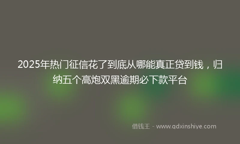 2025年热门征信花了到底从哪能真正贷到钱，归纳五个高炮双黑逾期必下款平台
