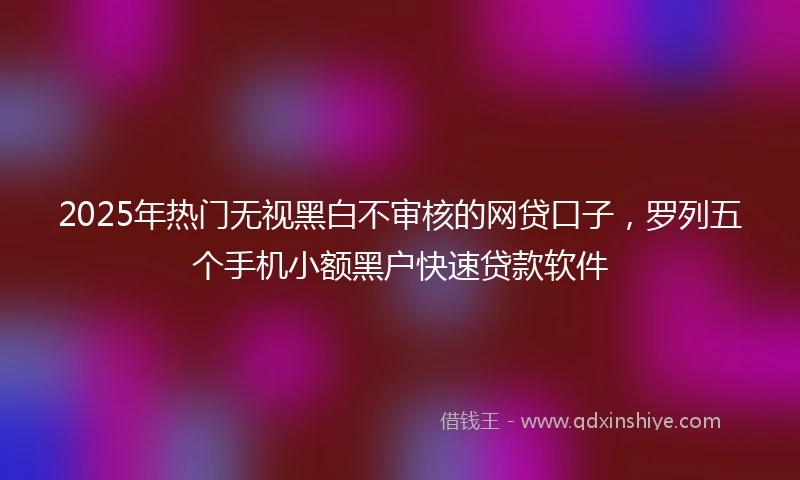 2025年热门无视黑白不审核的网贷口子，罗列五个手机小额黑户快速贷款软件