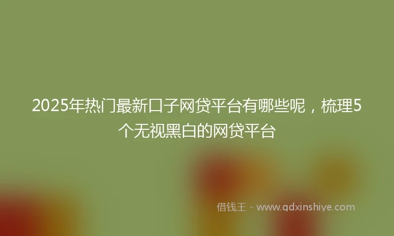 2025年热门最新口子网贷平台有哪些呢，梳理5个无视黑白的网贷平台