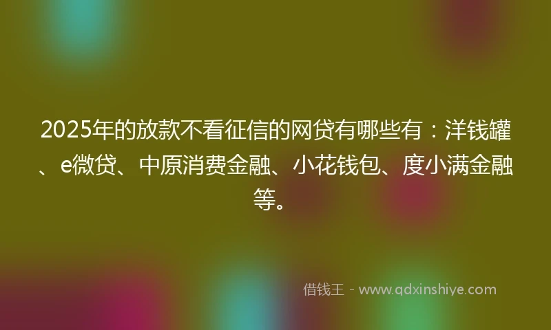 2025年的放款不看征信的网贷有哪些有：洋钱罐、e微贷、中原消费金融、小花钱包、度小满金融等。
