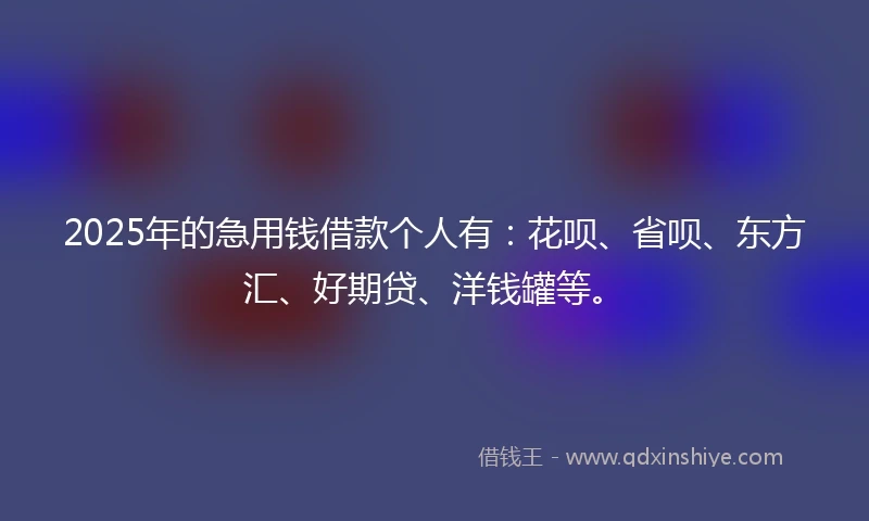 2025年的急用钱借款个人有：花呗、省呗、东方汇、好期贷、洋钱罐等。