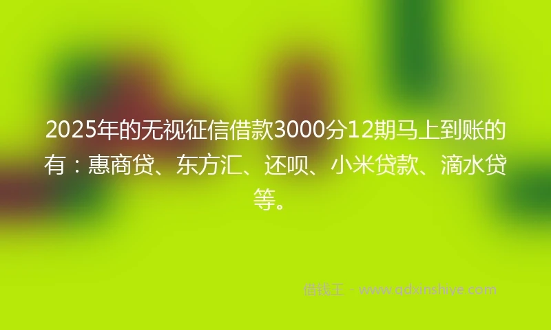 2025年的无视征信借款3000分12期马上到账的有：惠商贷、东方汇、还呗、小米贷款、滴水贷等。